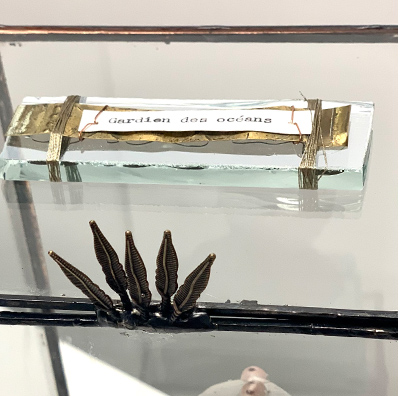 https://www.endroit-en-verre.fr/wp-content/uploads/2024/06/gardien-2.jpg